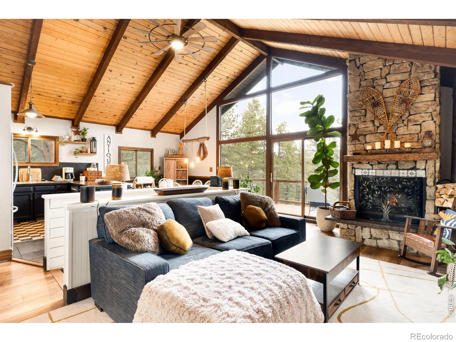 MLS Image #26 for 257  lo meadow lane,bailey, Colorado