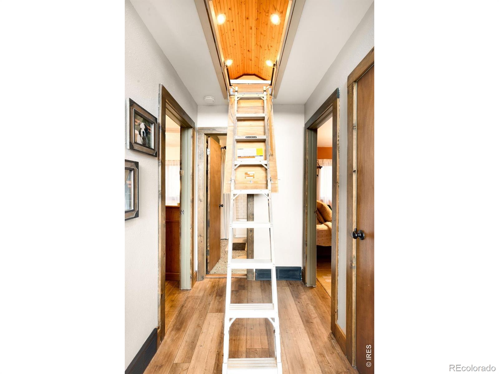 MLS Image #33 for 257  lo meadow lane,bailey, Colorado