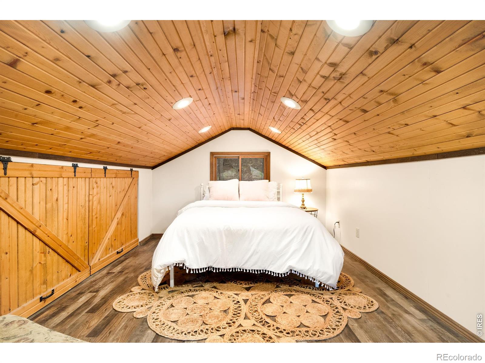 MLS Image #34 for 257  lo meadow lane,bailey, Colorado