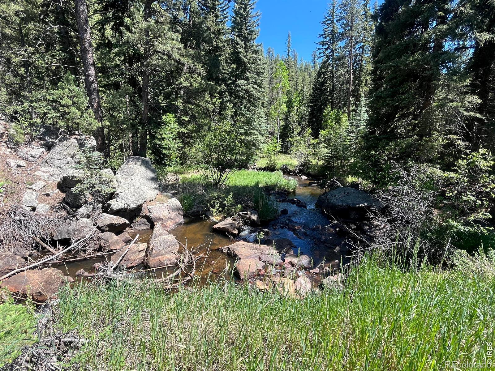 MLS Image #48 for 257  lo meadow lane,bailey, Colorado