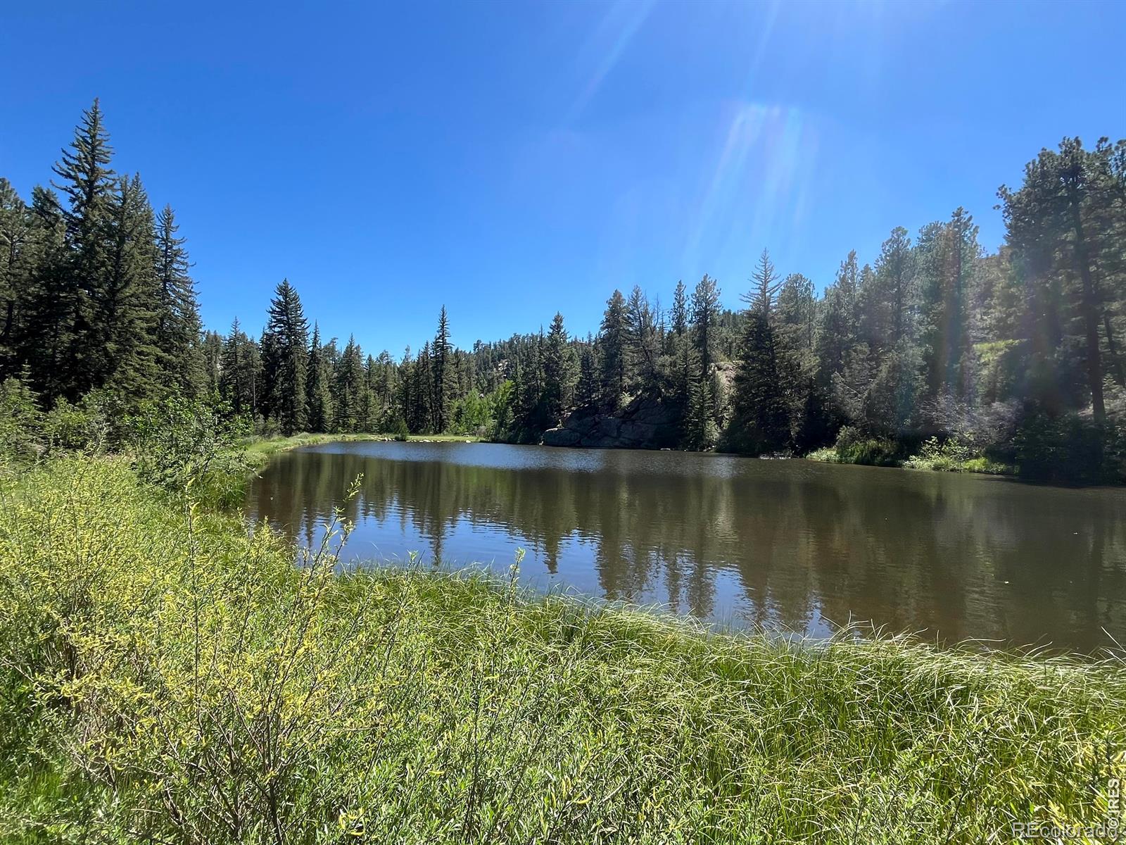 MLS Image #49 for 257  lo meadow lane,bailey, Colorado
