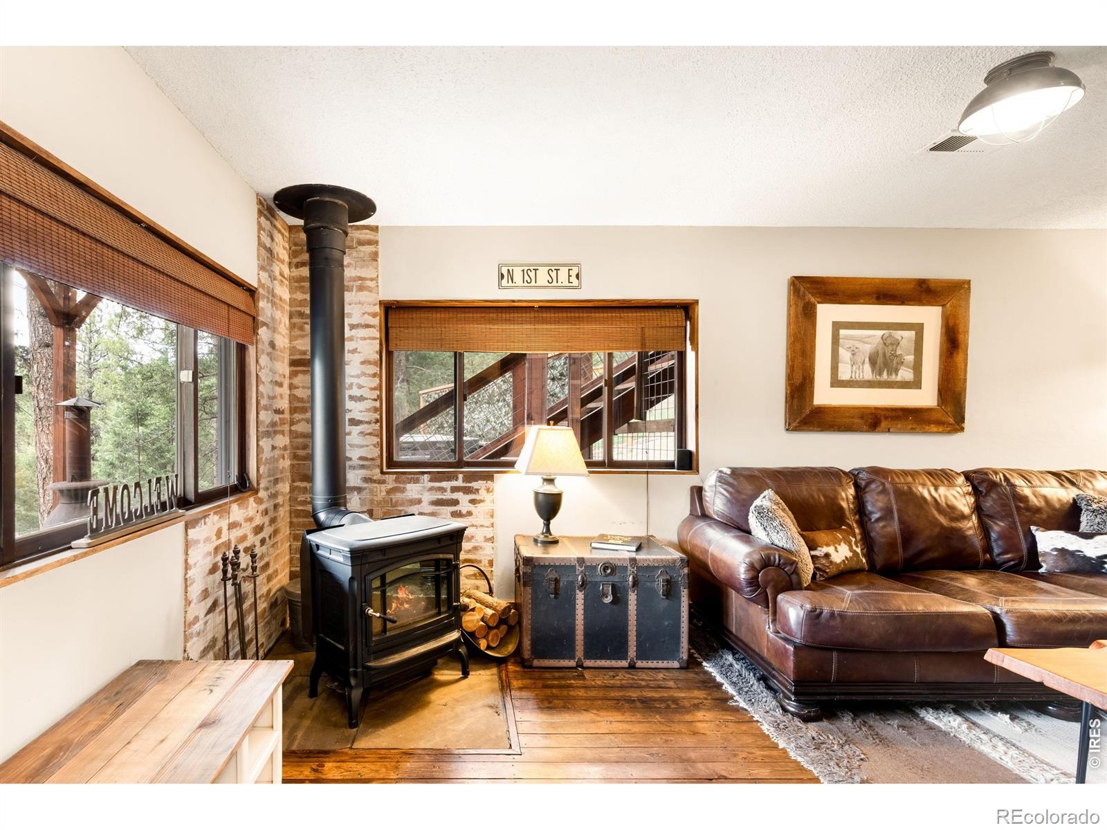 MLS Image #8 for 257  lo meadow lane,bailey, Colorado