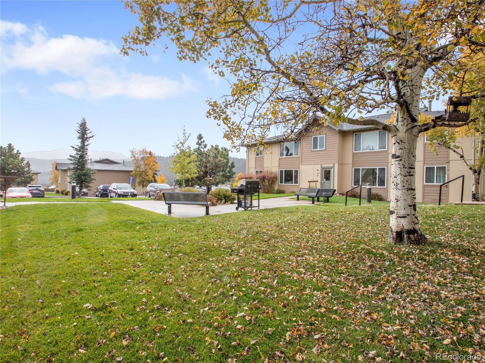 MLS Image #4 for 380  paradise circle,woodland park, Colorado