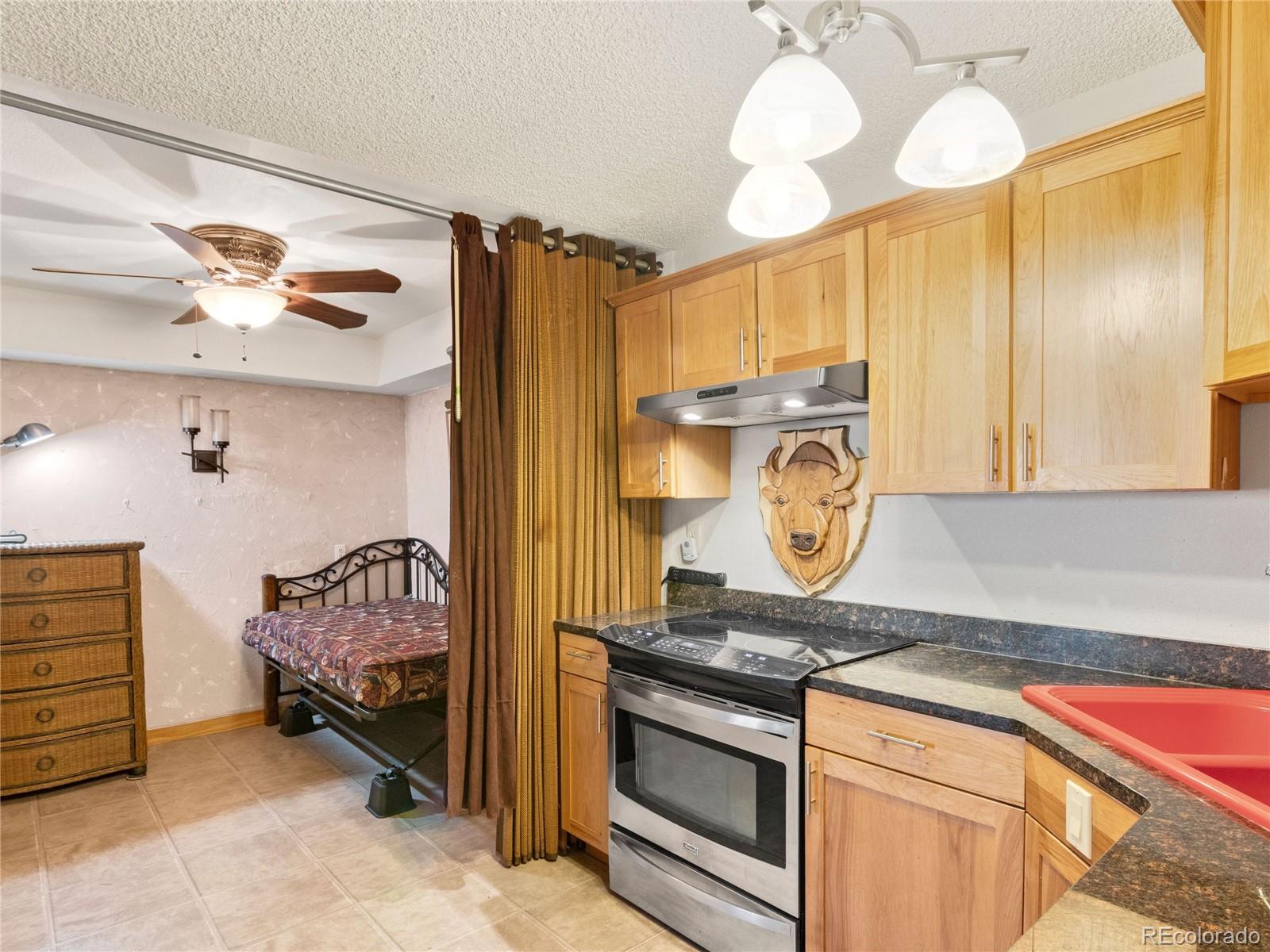 MLS Image #7 for 380  paradise circle,woodland park, Colorado