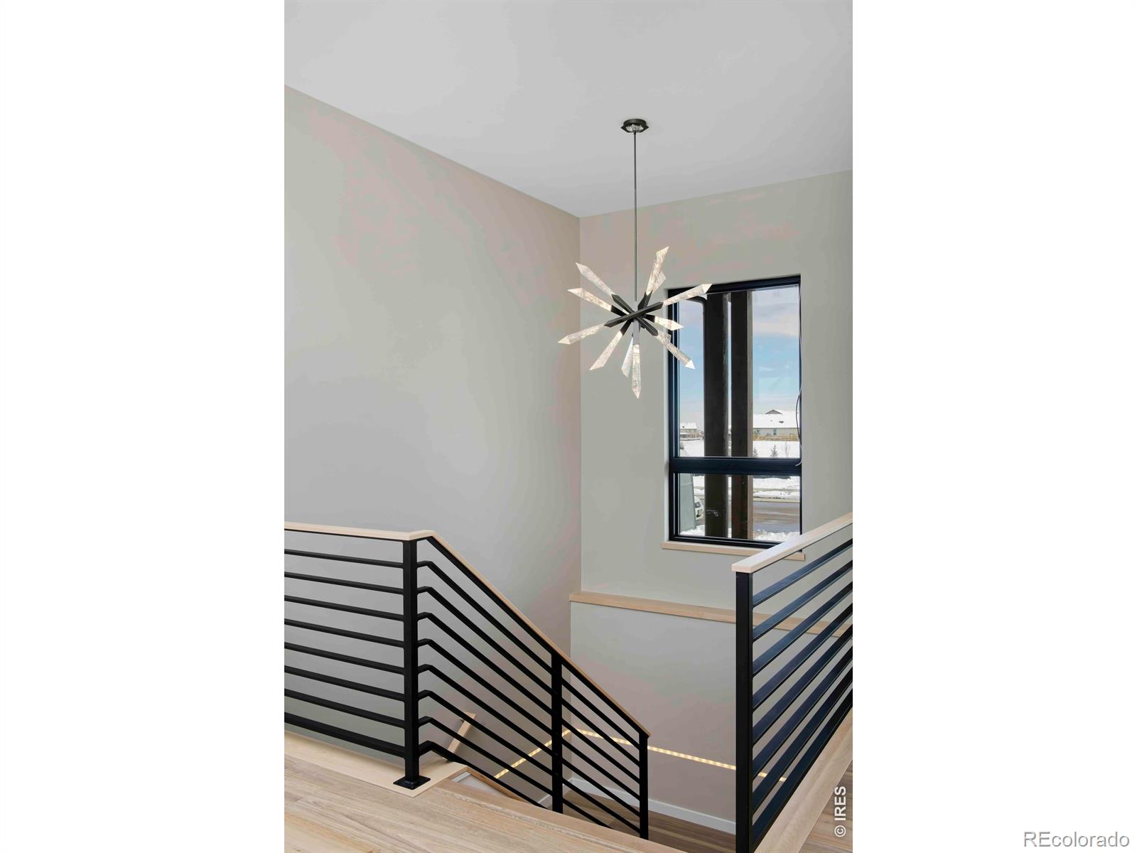 MLS Image #5 for 2298  star hill street,longmont, Colorado