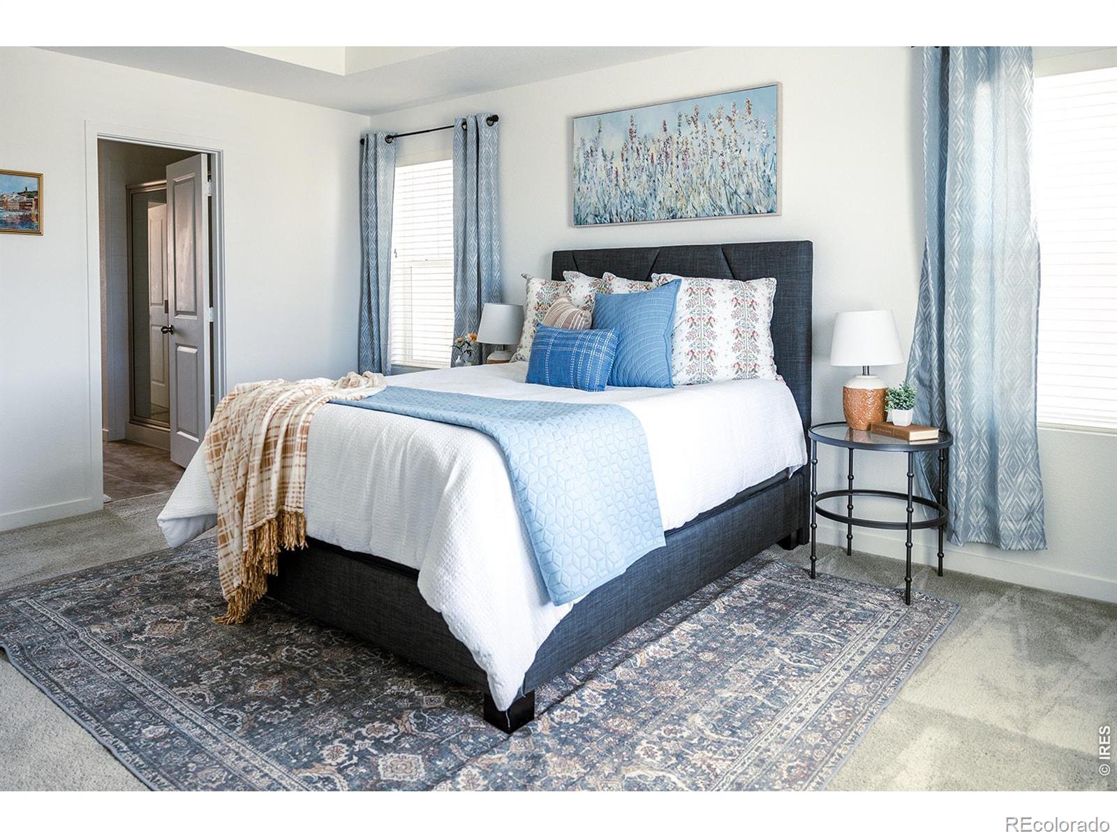 MLS Image #15 for 2608  painted turtle avenue,loveland, Colorado