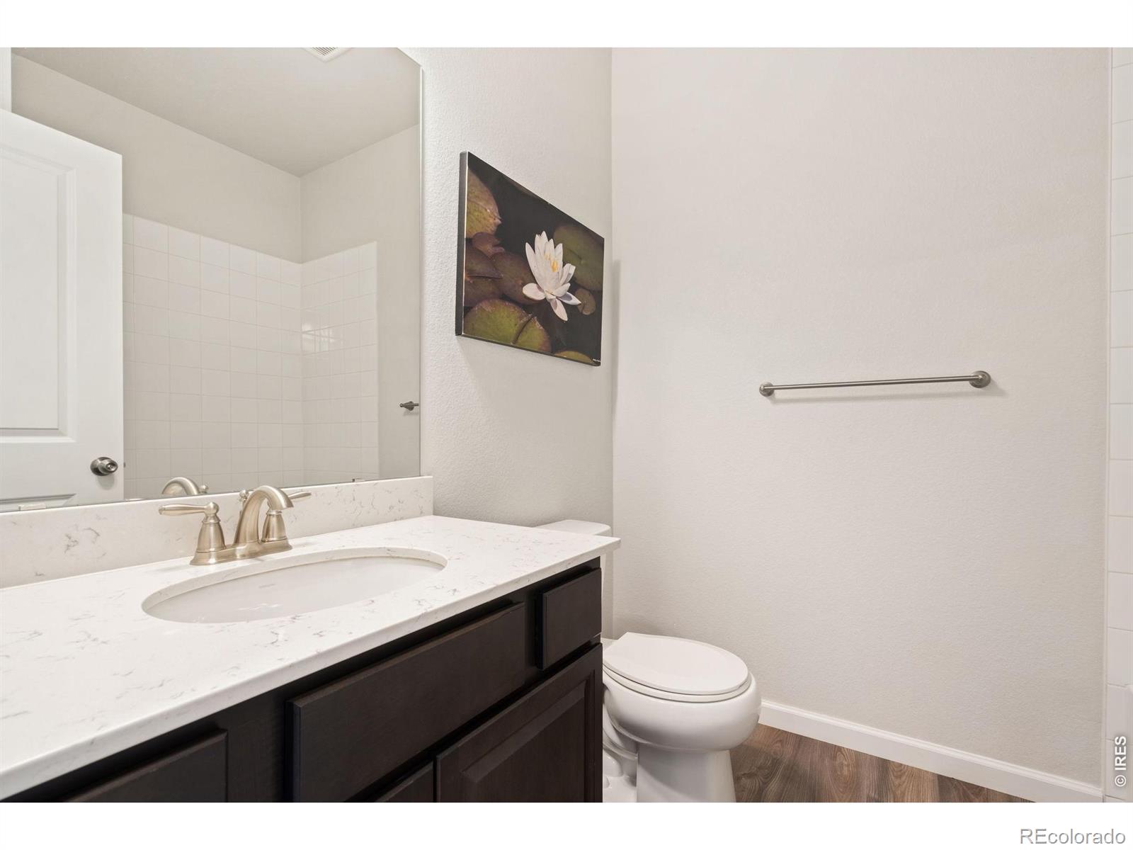 MLS Image #12 for 4419  caramel street,timnath, Colorado
