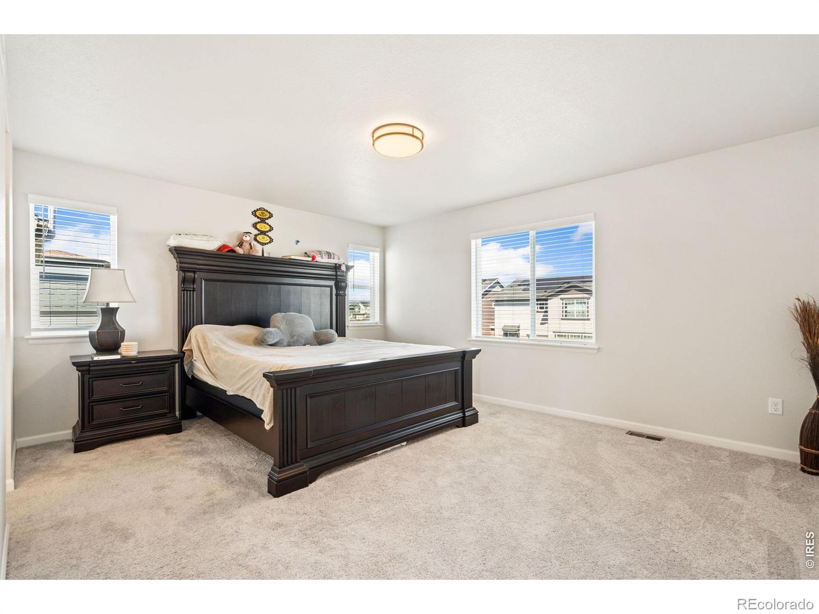 MLS Image #19 for 4419  caramel street,timnath, Colorado