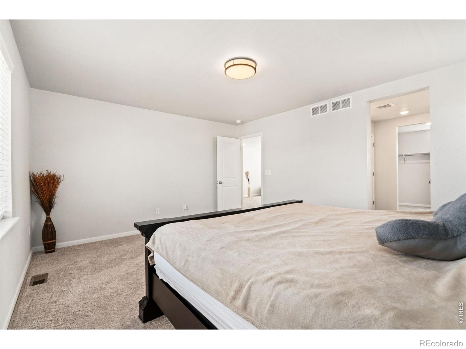 MLS Image #20 for 4419  caramel street,timnath, Colorado