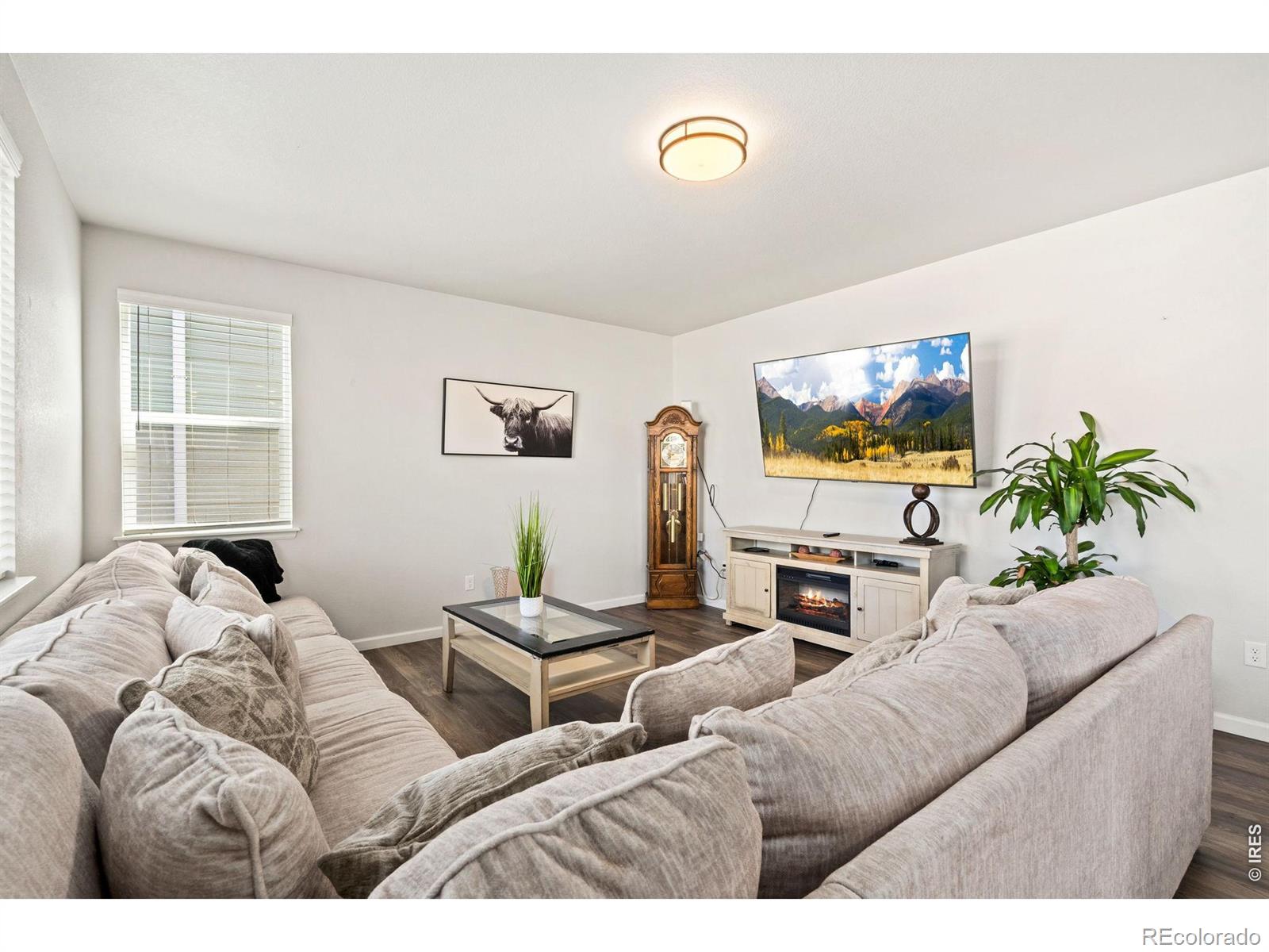 MLS Image #8 for 4419  caramel street,timnath, Colorado