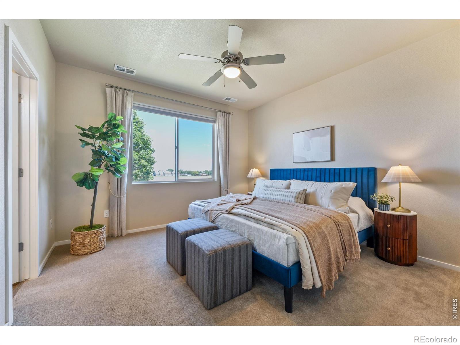 MLS Image #18 for 4476  stethern drive,loveland, Colorado