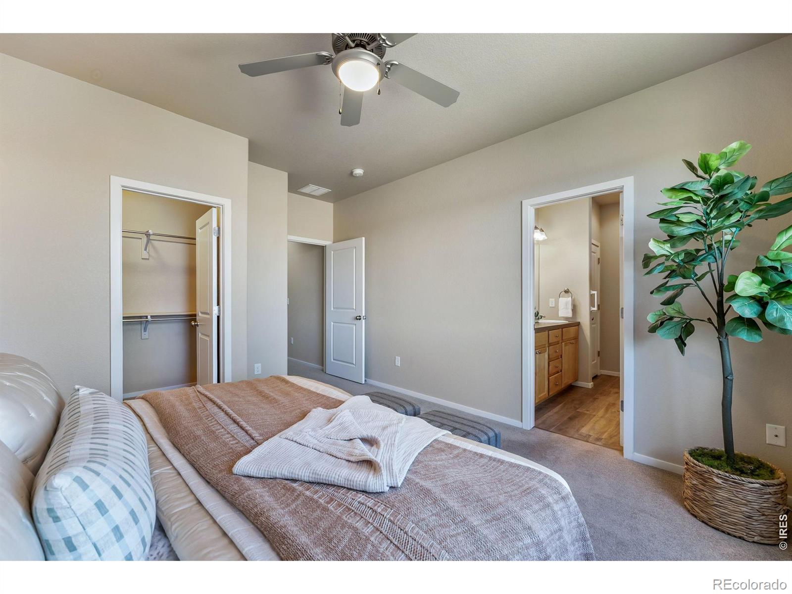 MLS Image #19 for 4476  stethern drive,loveland, Colorado