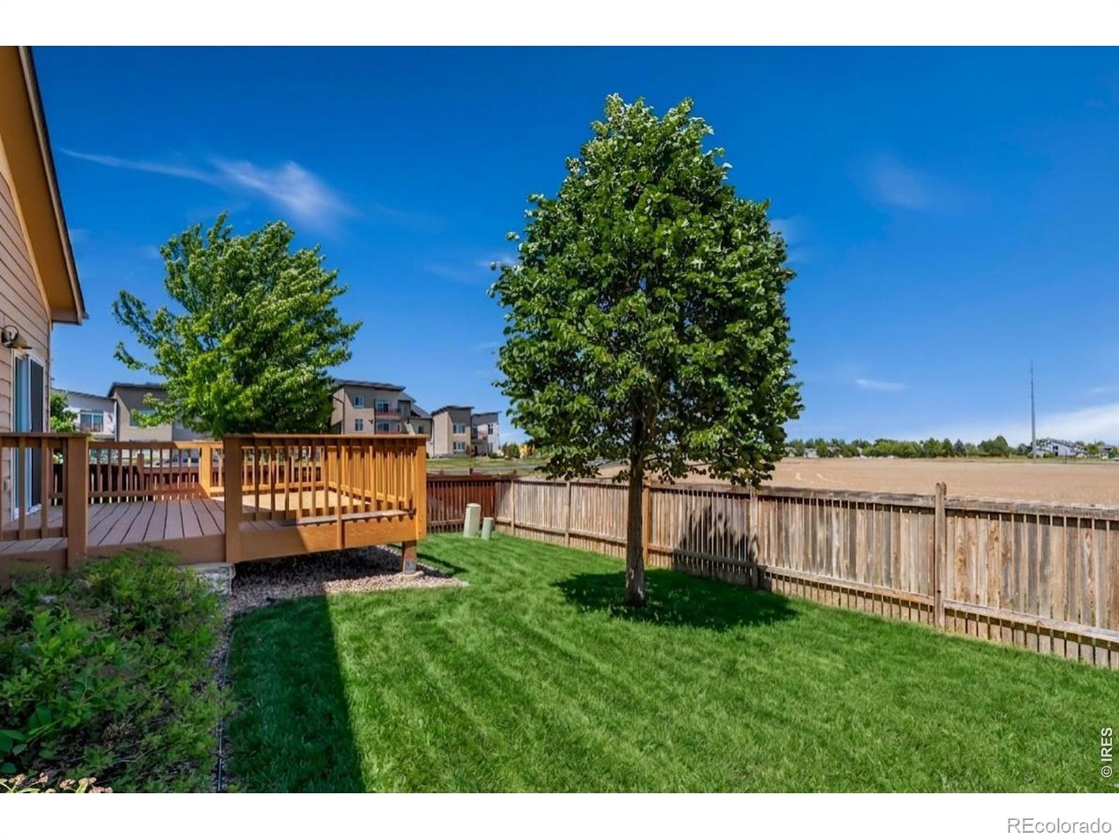MLS Image #27 for 4476  stethern drive,loveland, Colorado