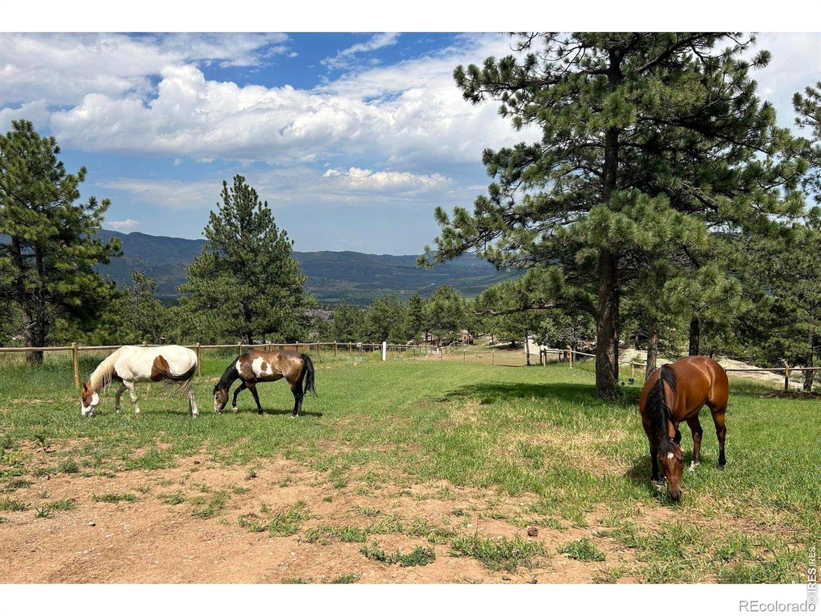 MLS Image #1 for 1893  colard lane,lyons, Colorado