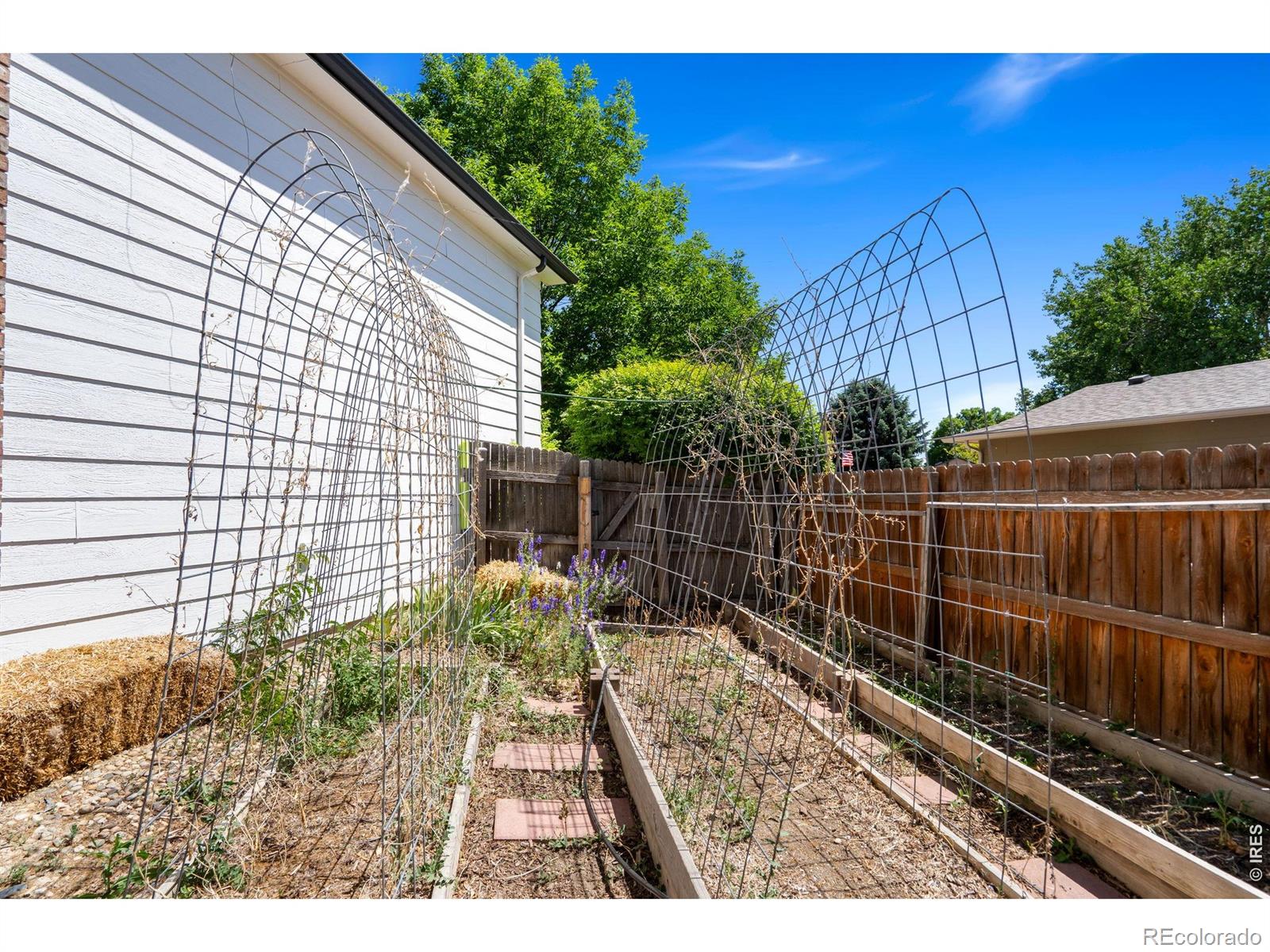 MLS Image #44 for 3281  mcintosh court,loveland, Colorado