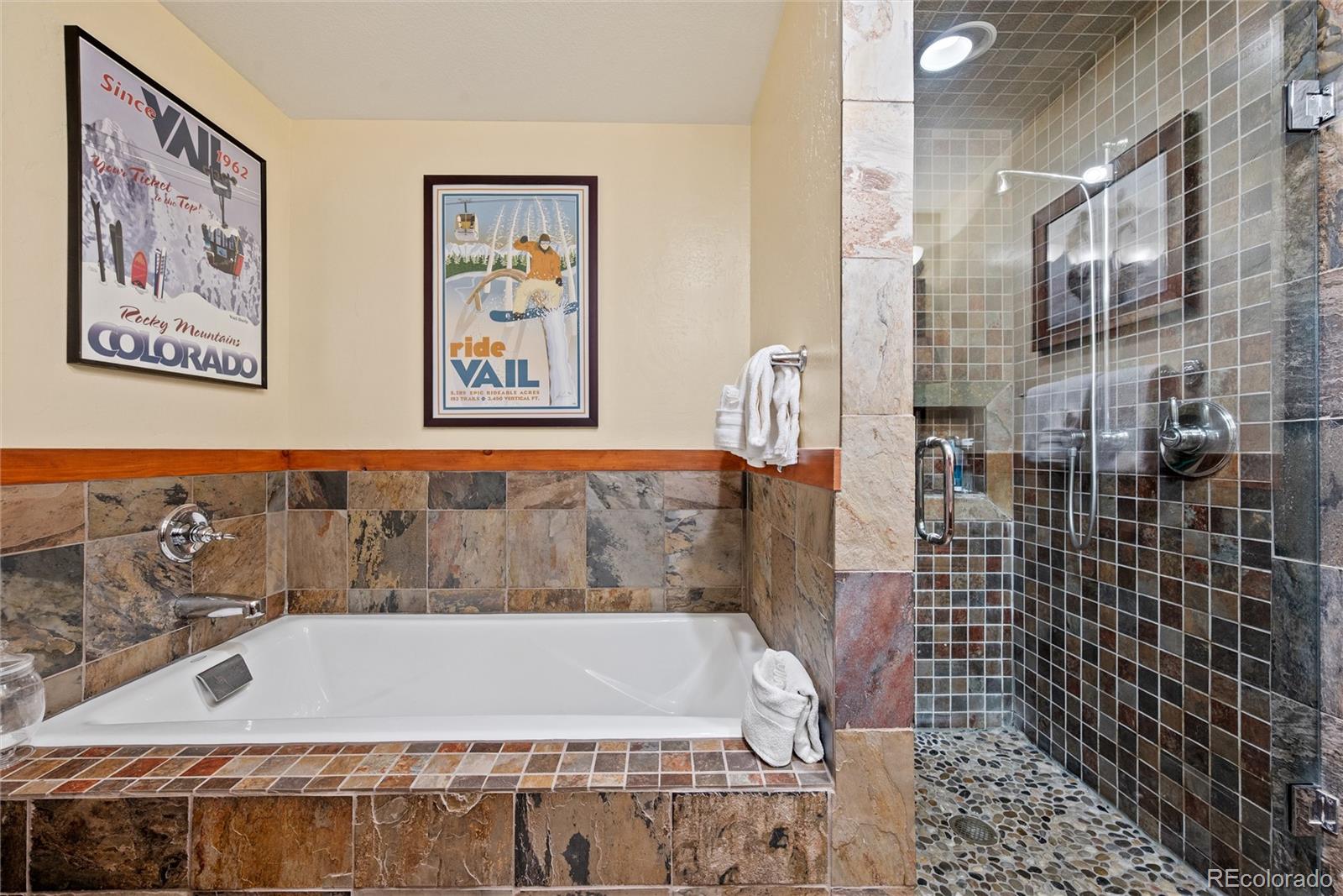 MLS Image #11 for 505 s main street 2205,breckenridge, Colorado