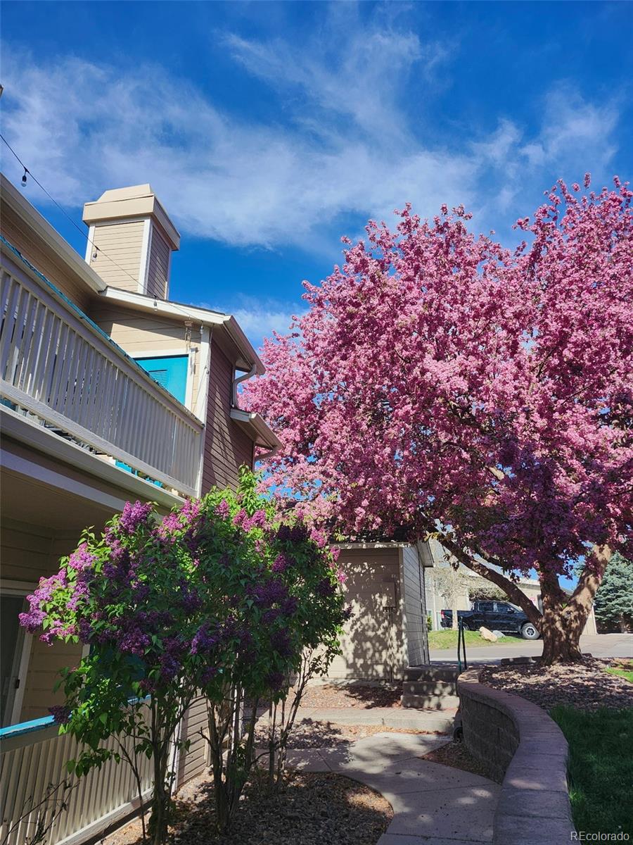 MLS Image #25 for 8449  little rock way,littleton, Colorado