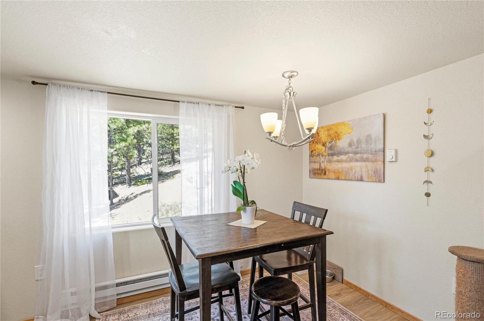 MLS Image #10 for 318  klitowya trail,woodland park, Colorado