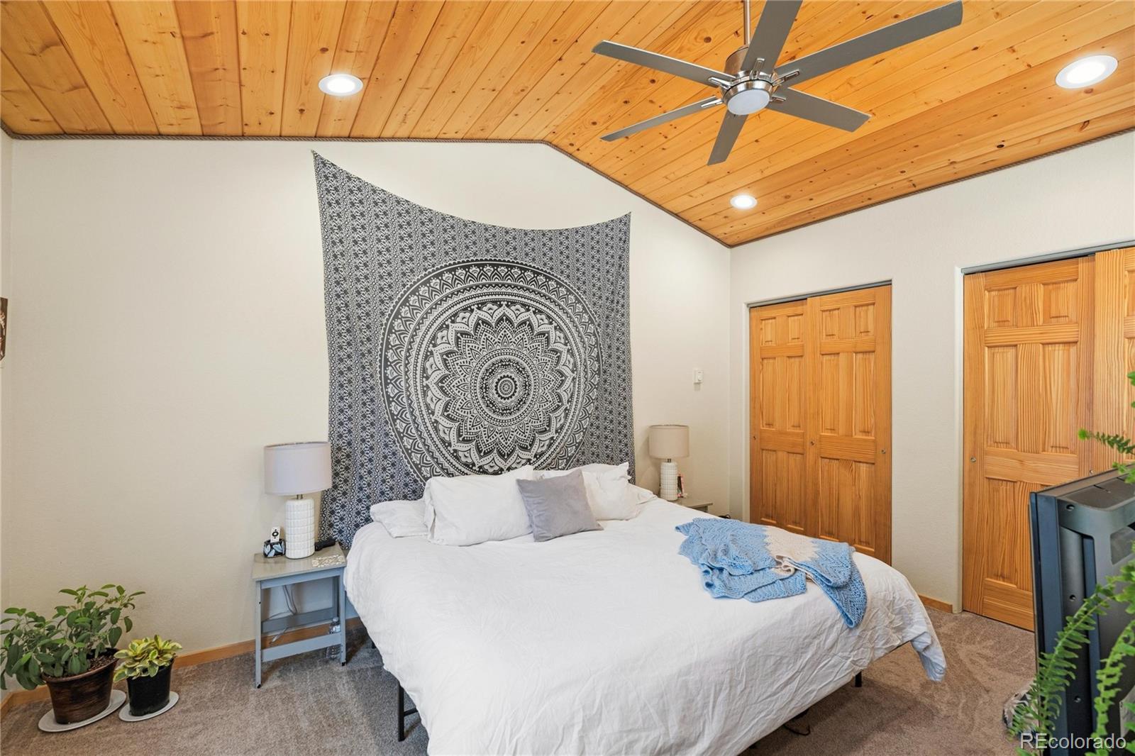 MLS Image #14 for 318  klitowya trail,woodland park, Colorado