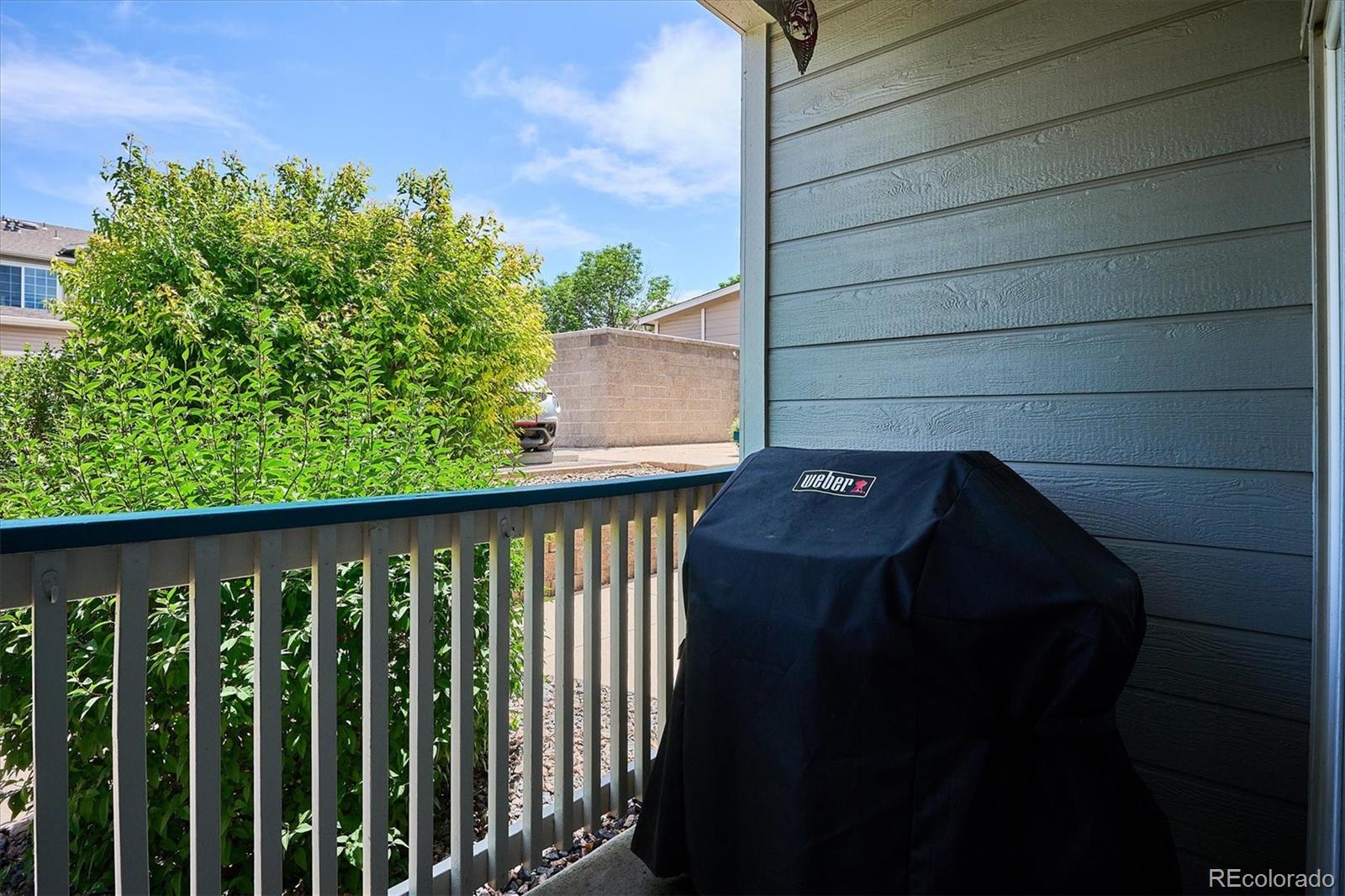 MLS Image #17 for 8437  thunder ridge way,highlands ranch, Colorado