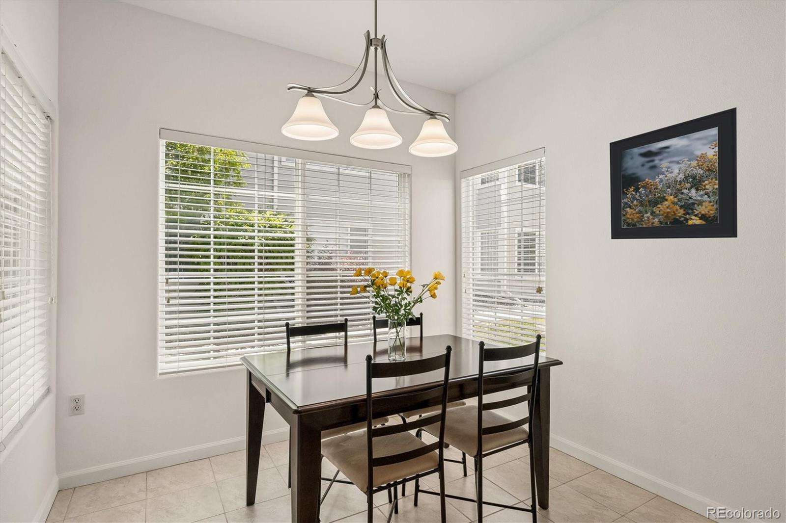 MLS Image #7 for 8437  thunder ridge way,highlands ranch, Colorado