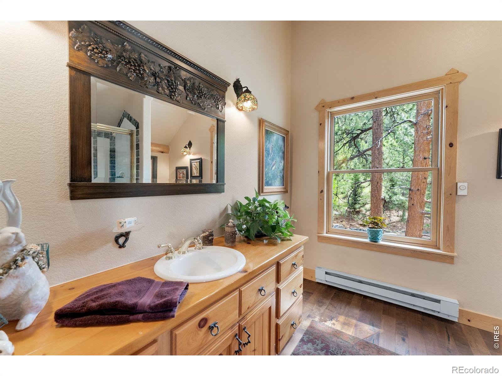 MLS Image #21 for 29700 s sunset trail,conifer, Colorado