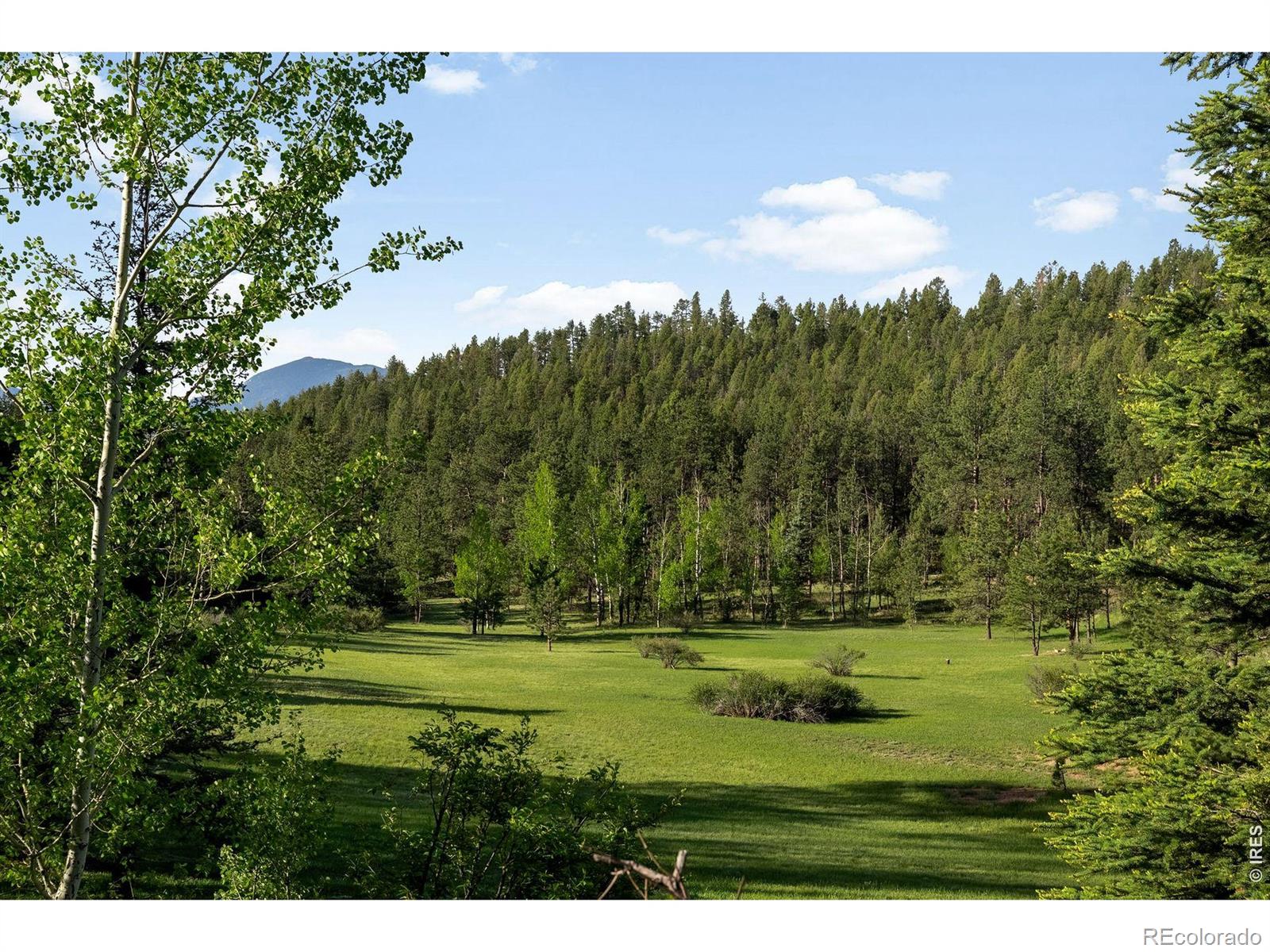 MLS Image #41 for 29700 s sunset trail,conifer, Colorado