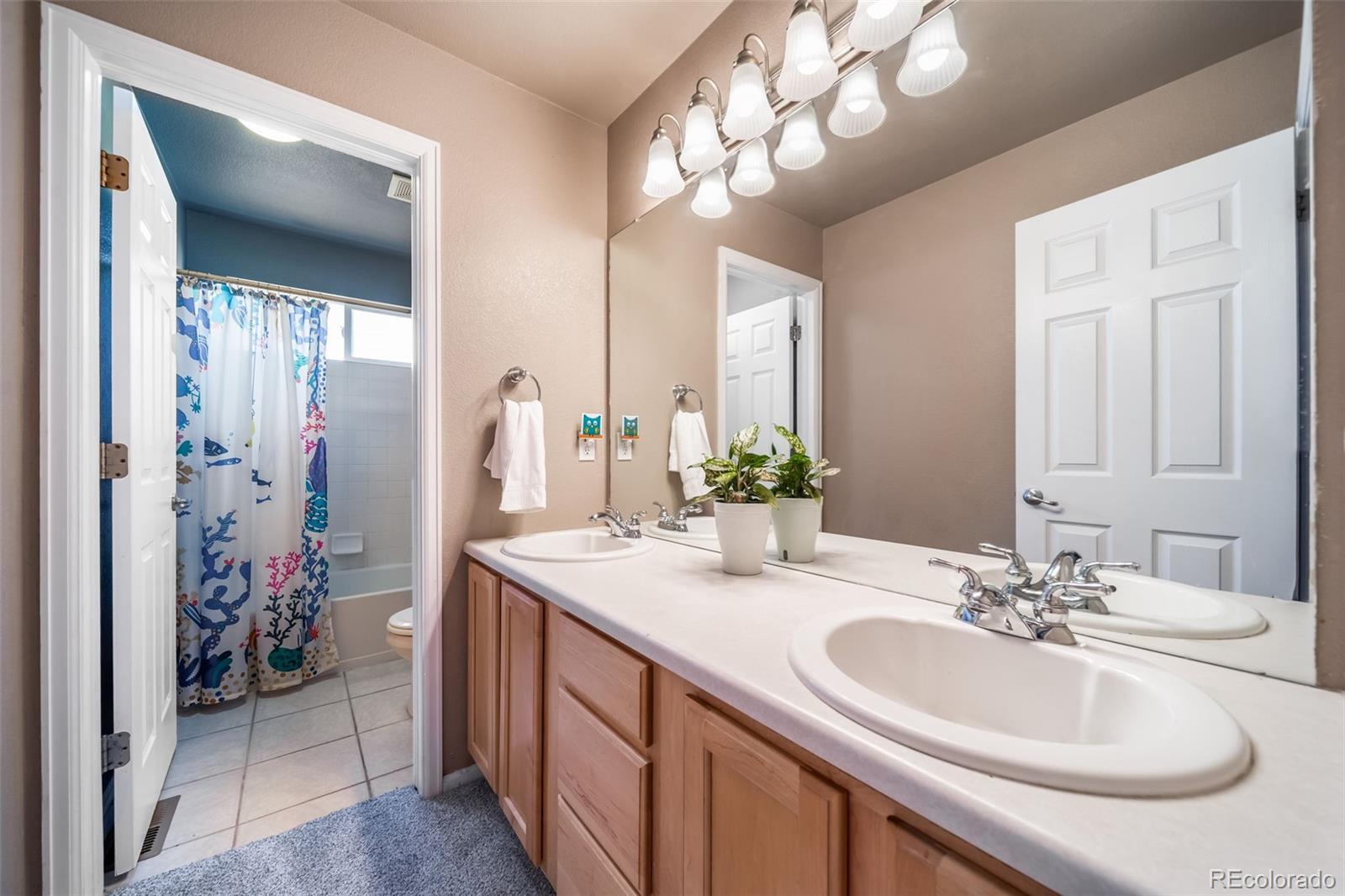 MLS Image #17 for 16533  red brush place,parker, Colorado