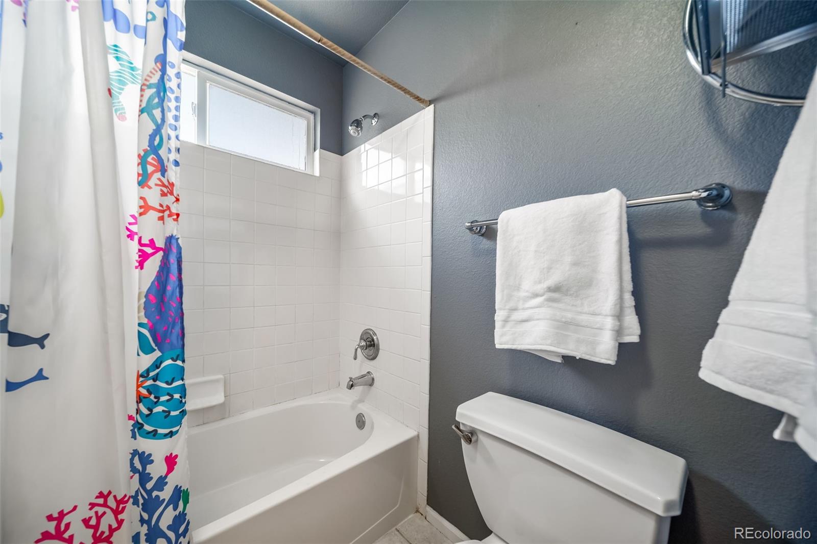 MLS Image #18 for 16533  red brush place,parker, Colorado