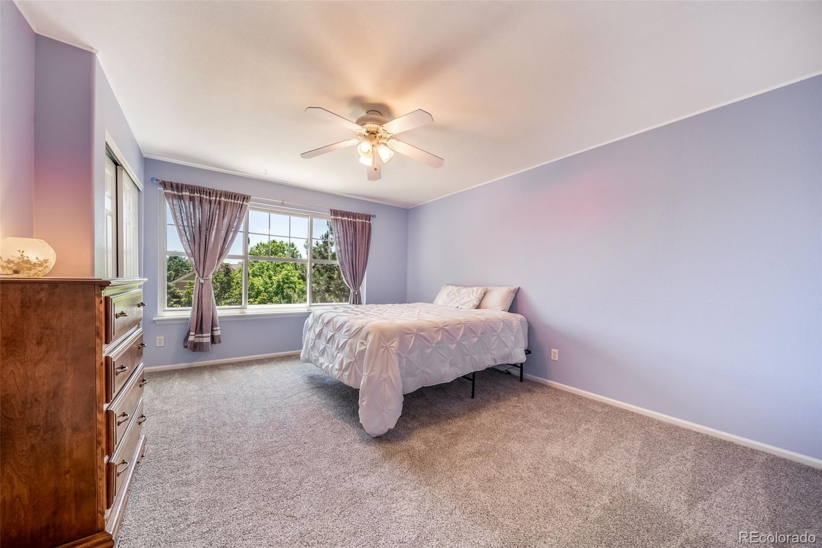 MLS Image #19 for 16533  red brush place,parker, Colorado