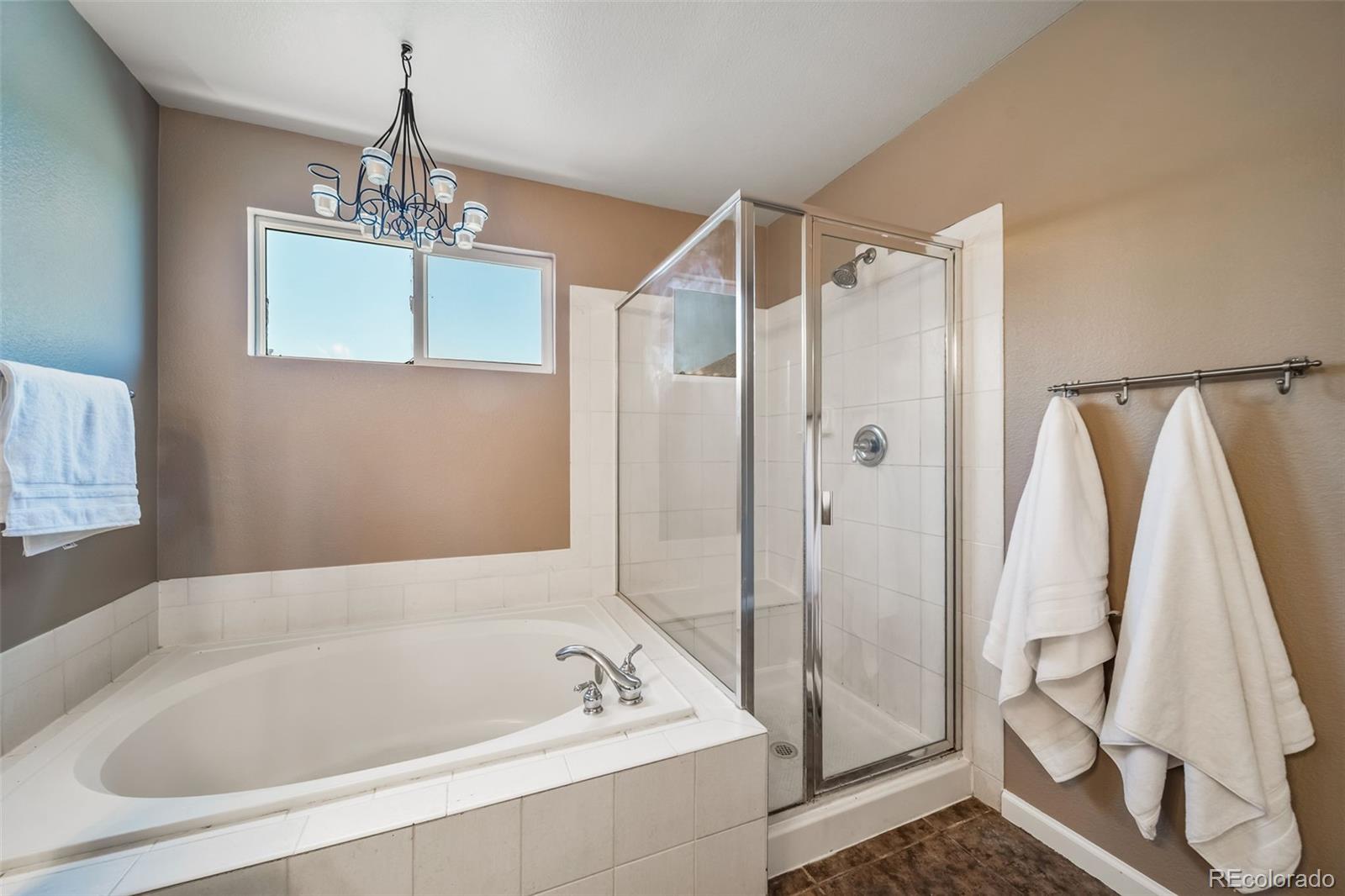 MLS Image #30 for 16533  red brush place,parker, Colorado