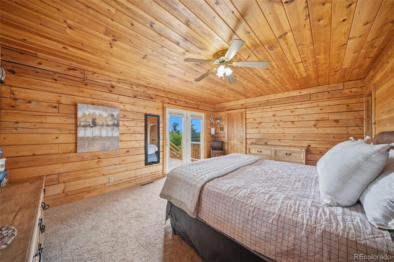 MLS Image #10 for 4269  cedar mountain road,divide, Colorado