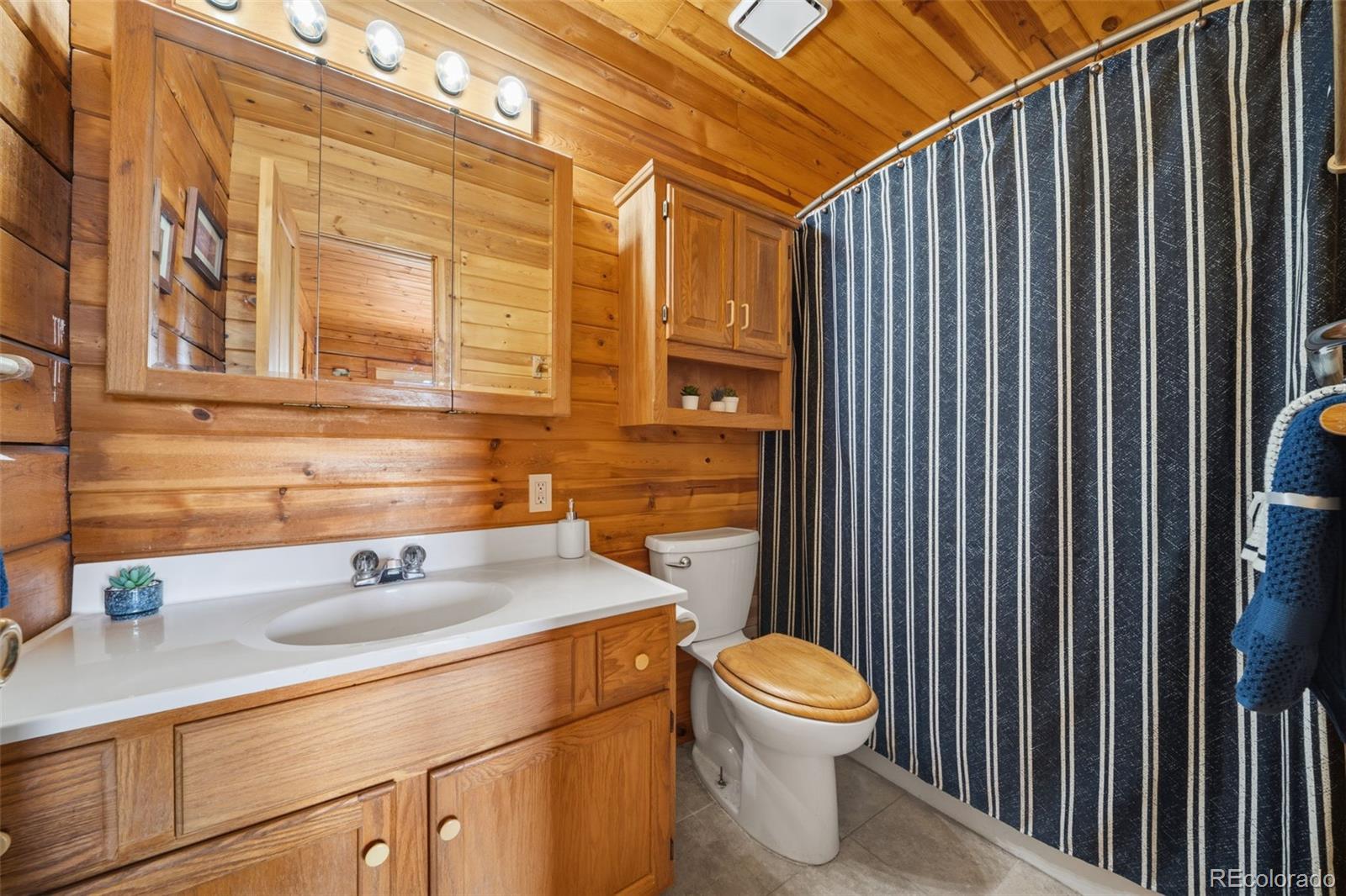 MLS Image #11 for 4269  cedar mountain road,divide, Colorado