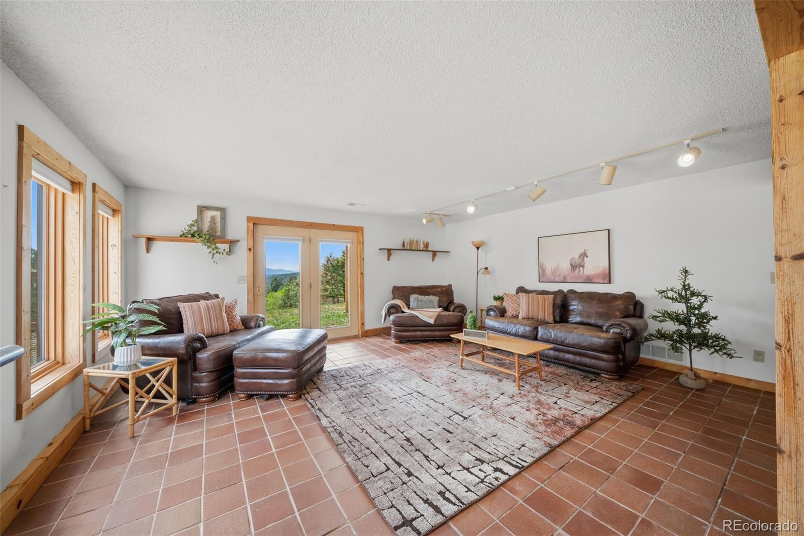 MLS Image #13 for 4269  cedar mountain road,divide, Colorado