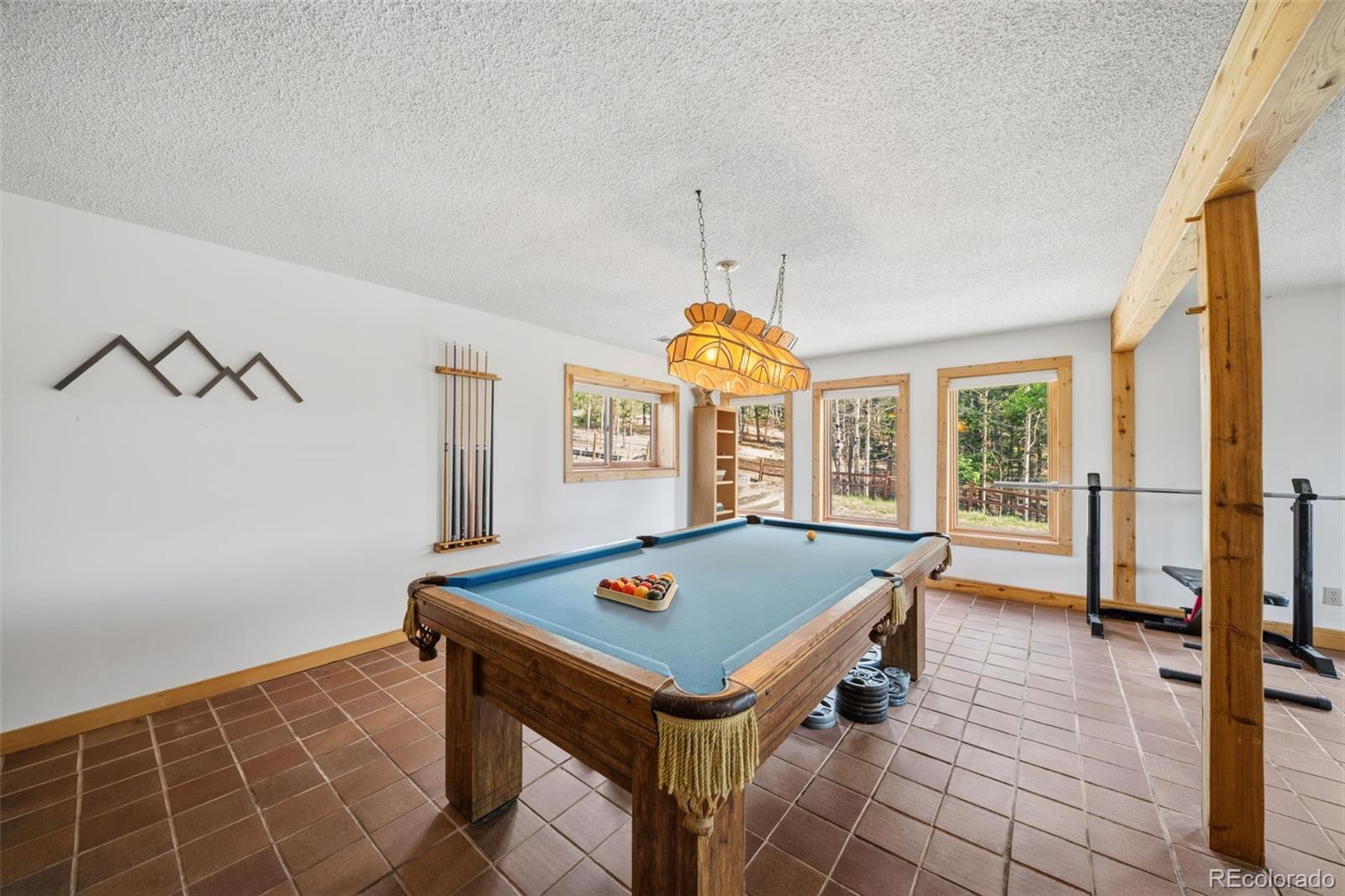 MLS Image #15 for 4269  cedar mountain road,divide, Colorado