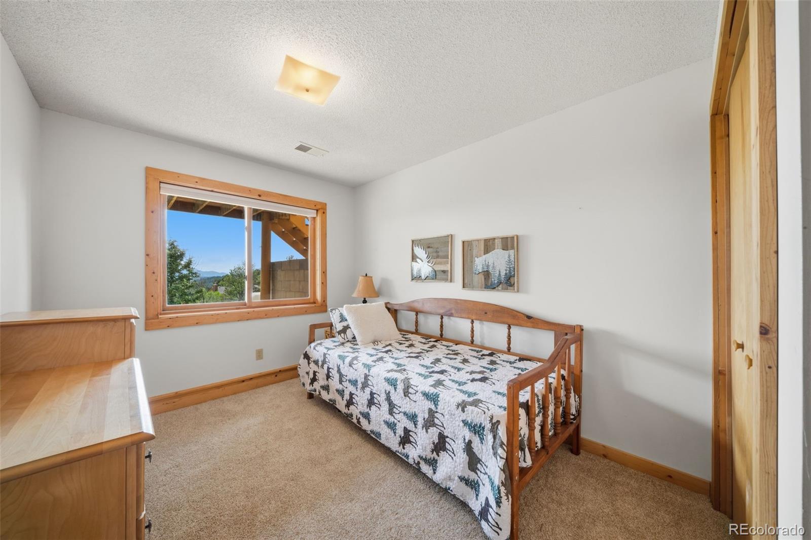 MLS Image #17 for 4269  cedar mountain road,divide, Colorado