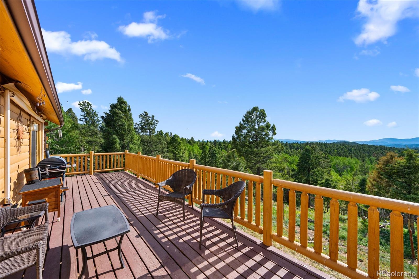 MLS Image #19 for 4269  cedar mountain road,divide, Colorado