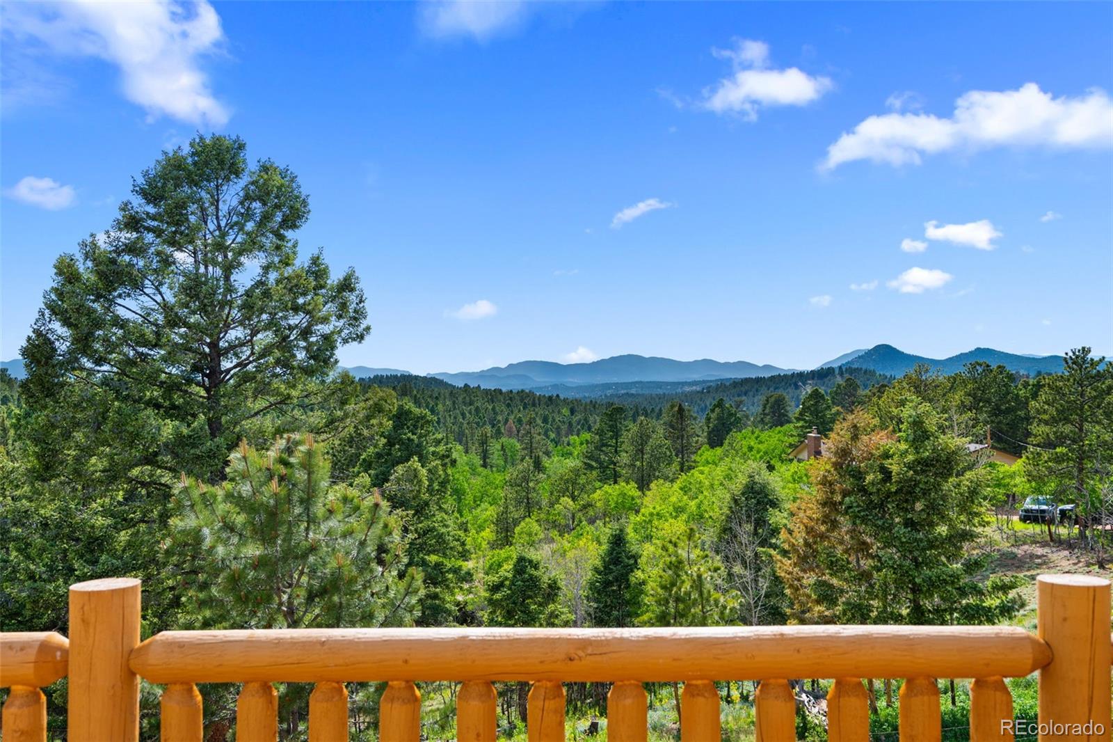 MLS Image #20 for 4269  cedar mountain road,divide, Colorado