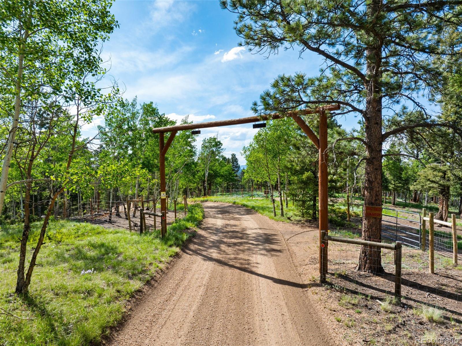 MLS Image #21 for 4269  cedar mountain road,divide, Colorado