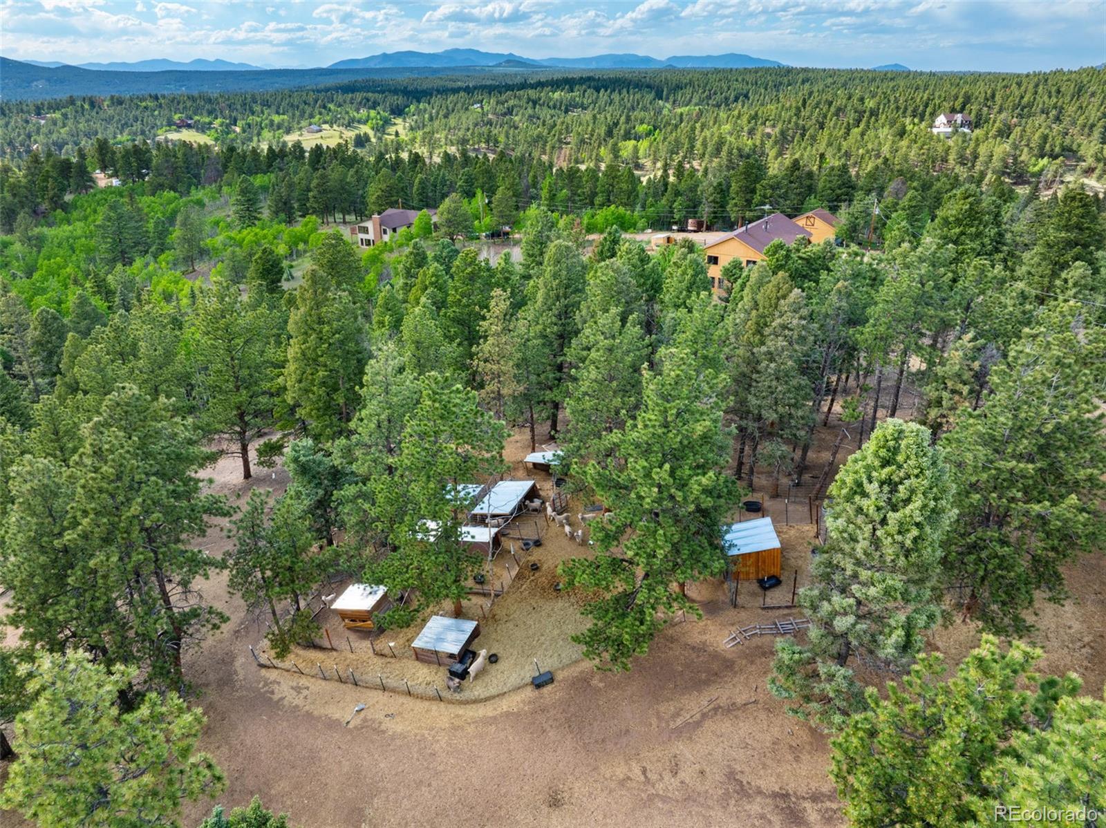 MLS Image #26 for 4269  cedar mountain road,divide, Colorado