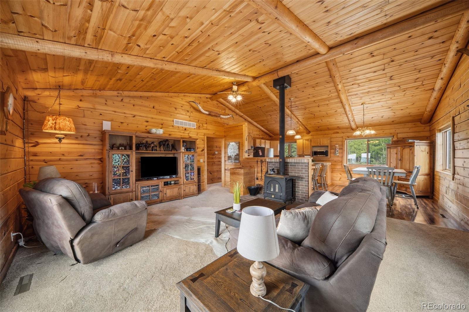 MLS Image #4 for 4269  cedar mountain road,divide, Colorado