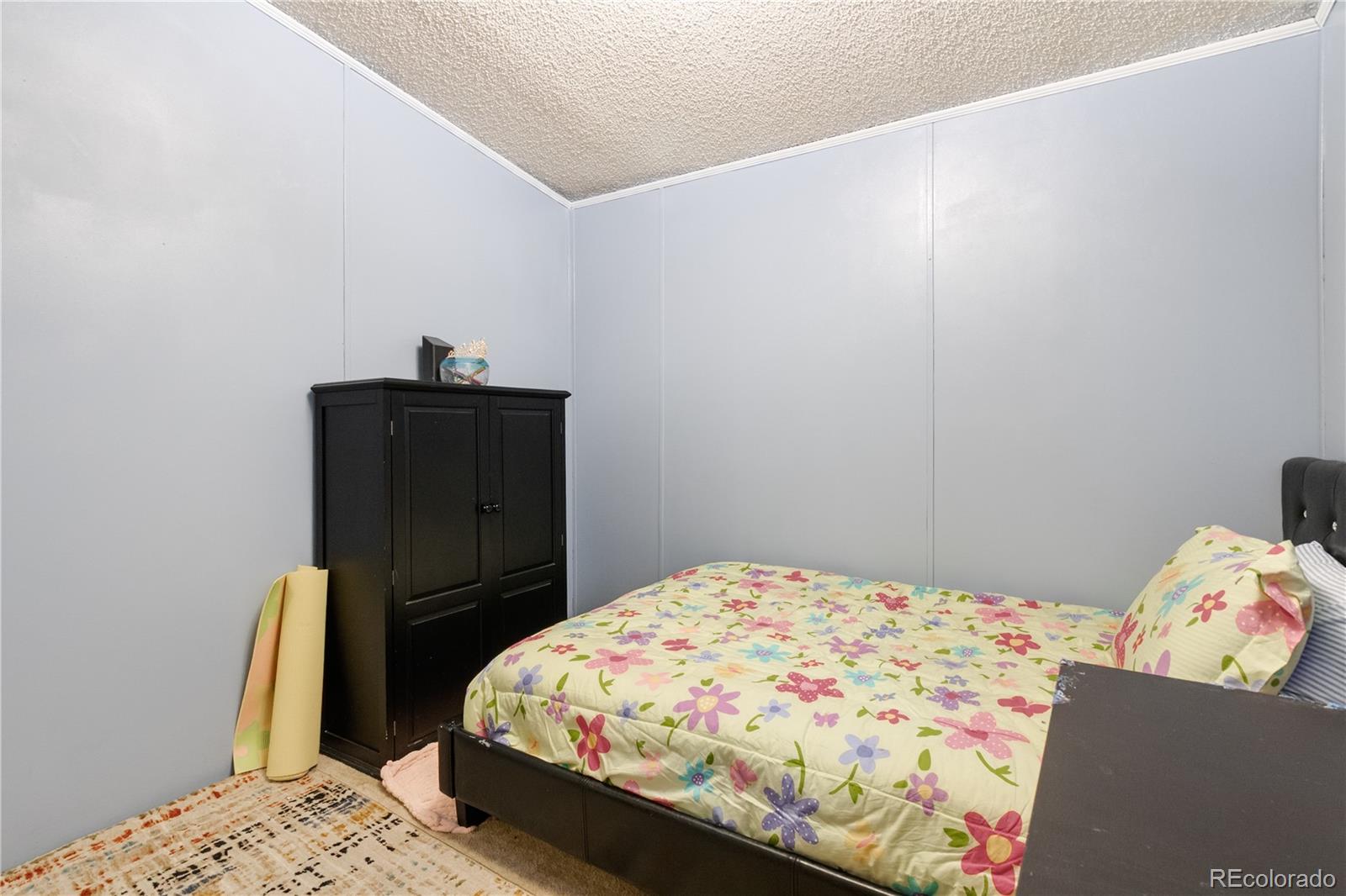 MLS Image #18 for 1111  stage drive,fort lupton, Colorado