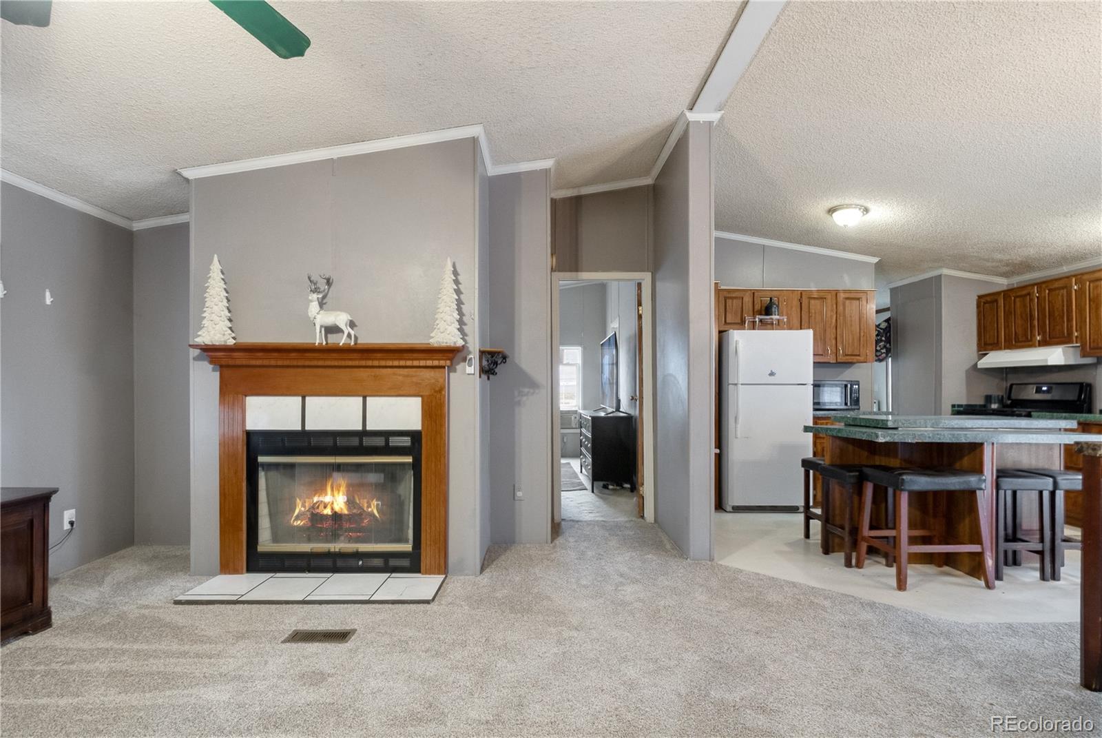 MLS Image #3 for 1111  stage drive,fort lupton, Colorado