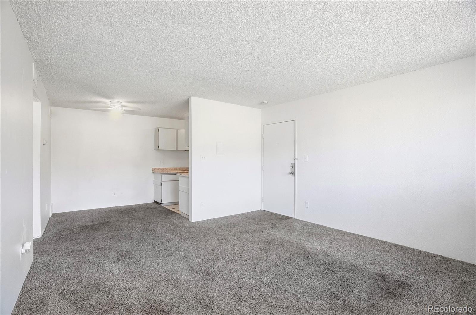 MLS Image #11 for 10211  ura lane,denver, Colorado