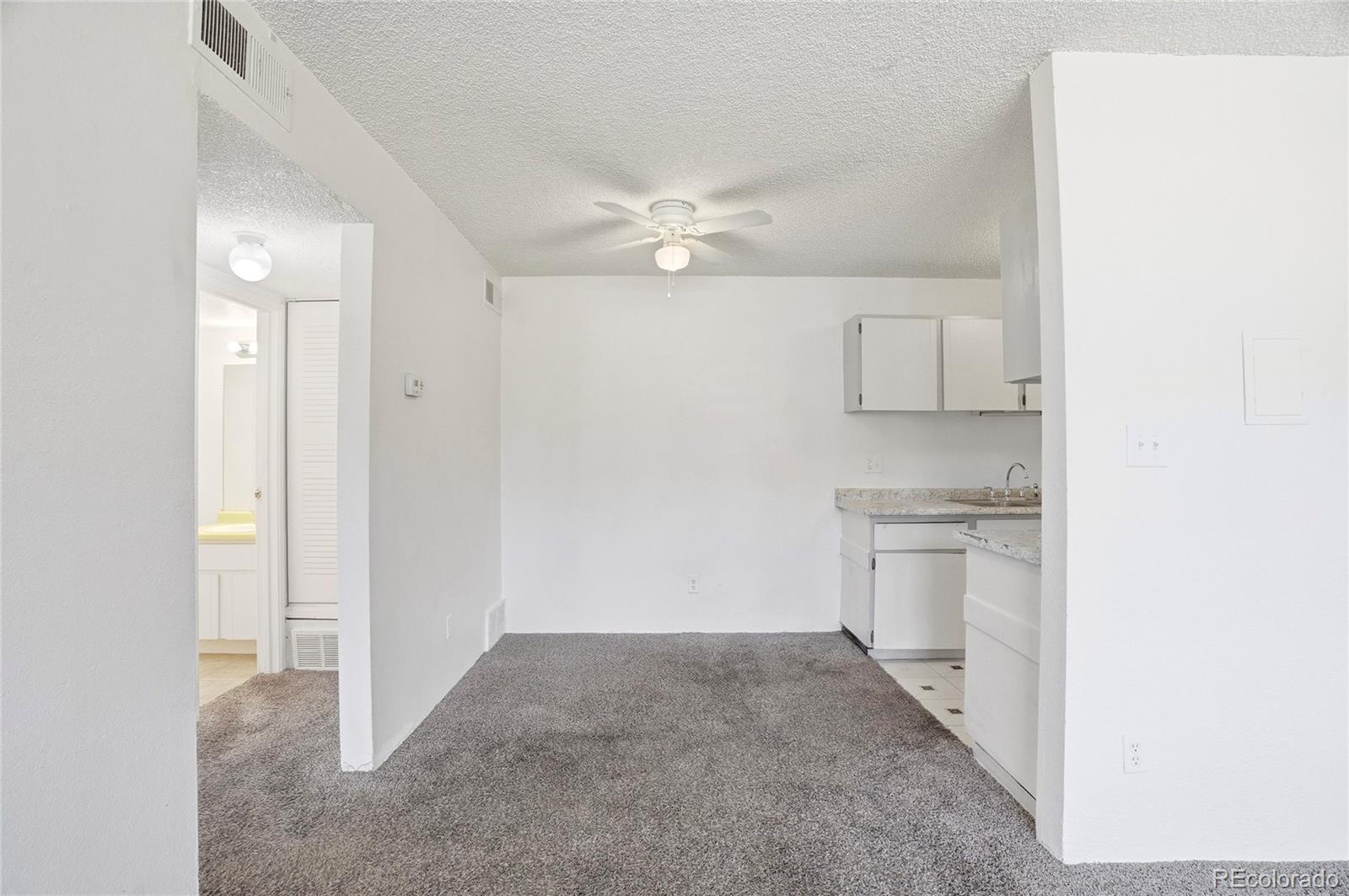 MLS Image #13 for 10211  ura lane,denver, Colorado