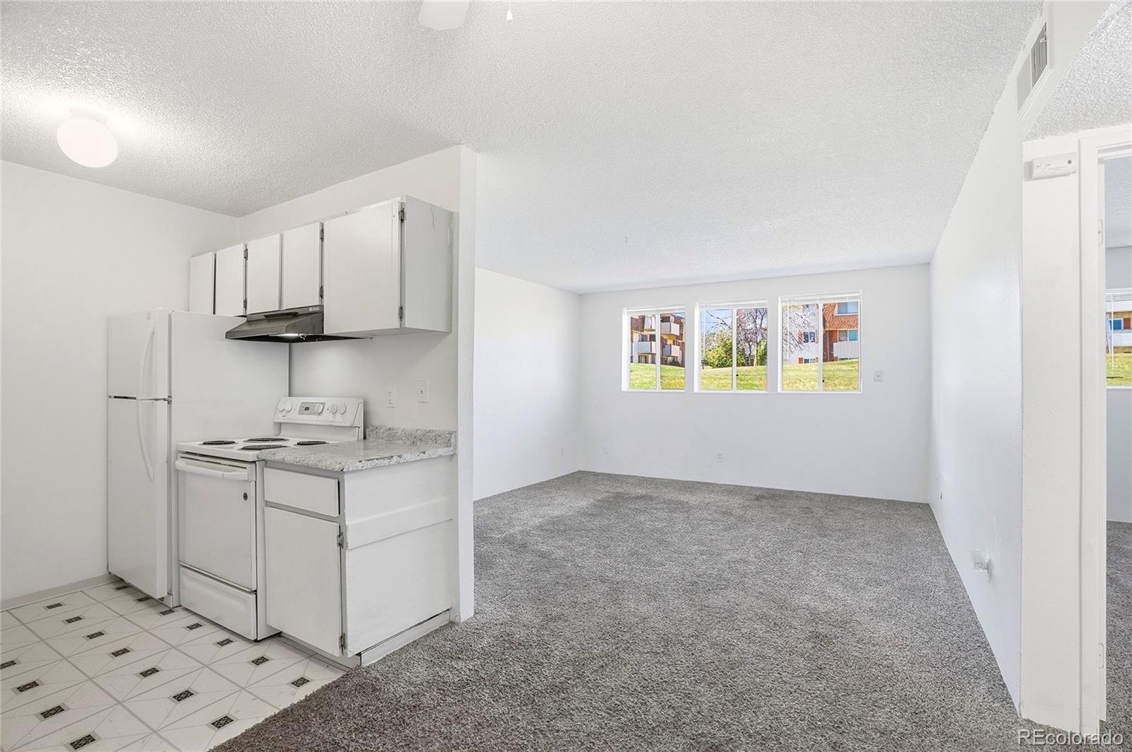 MLS Image #16 for 10211  ura lane,denver, Colorado