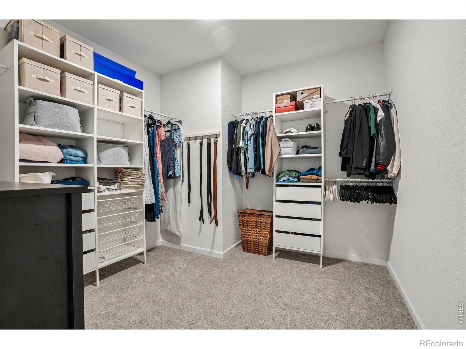 MLS Image #21 for 1815  dancing cattail drive,fort collins, Colorado