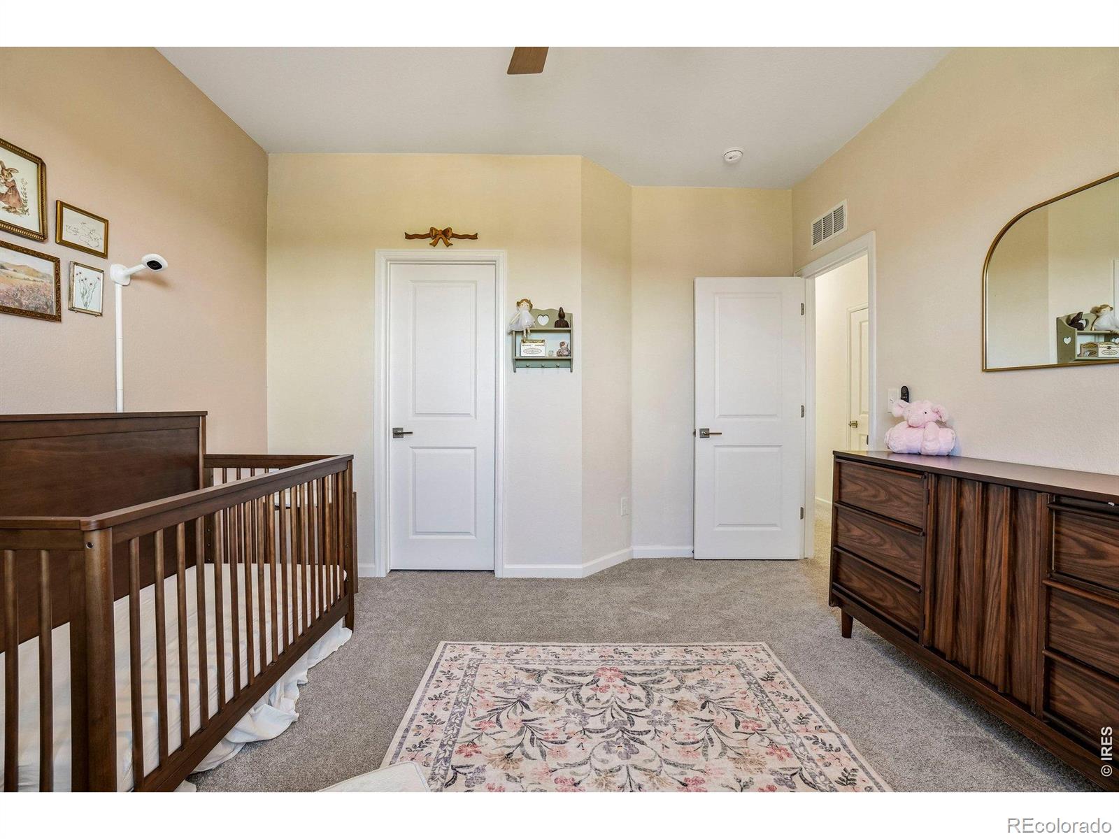 MLS Image #24 for 1815  dancing cattail drive,fort collins, Colorado