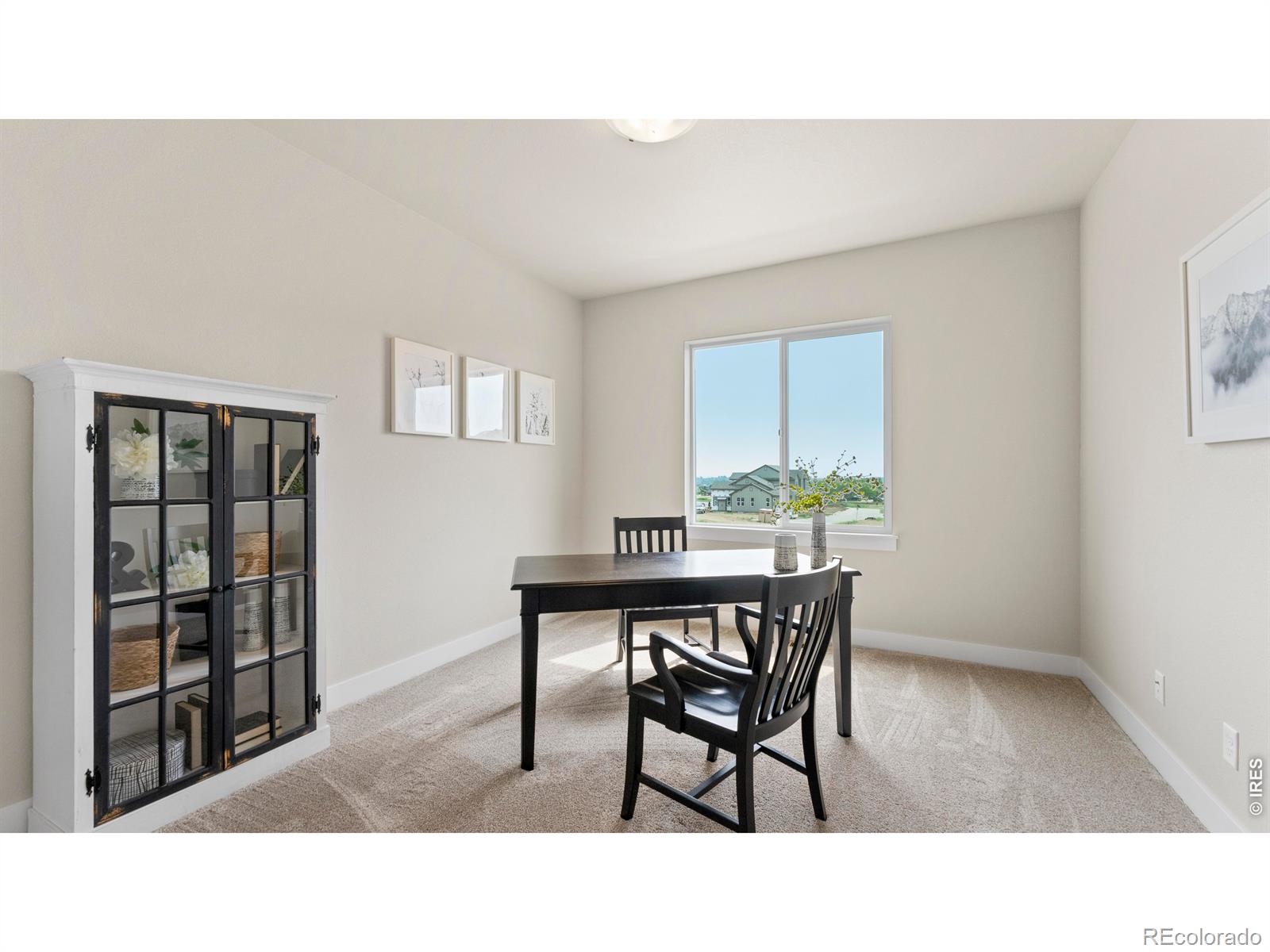 MLS Image #12 for 6244  vernazza way,windsor, Colorado