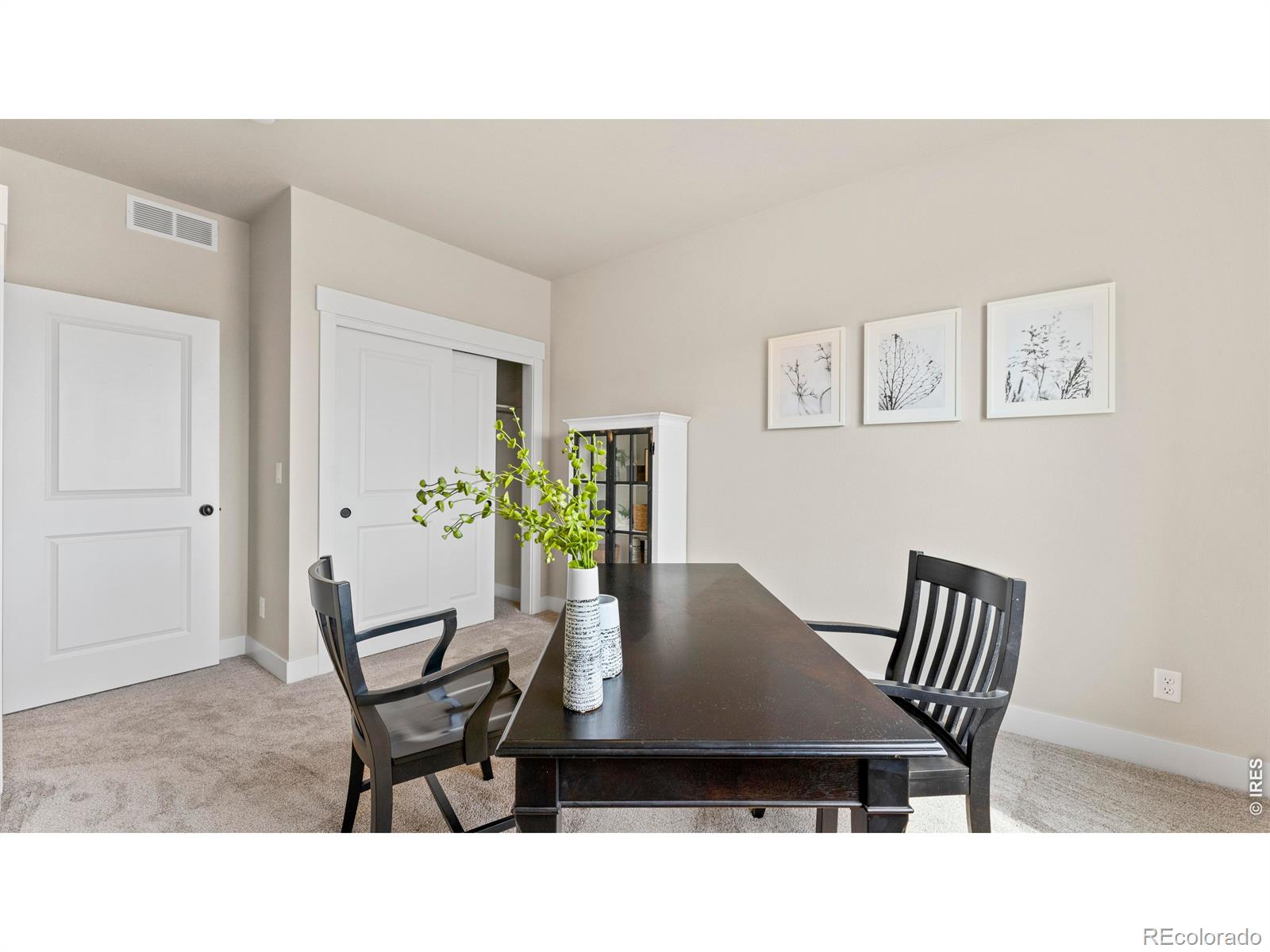 MLS Image #13 for 6244  vernazza way,windsor, Colorado